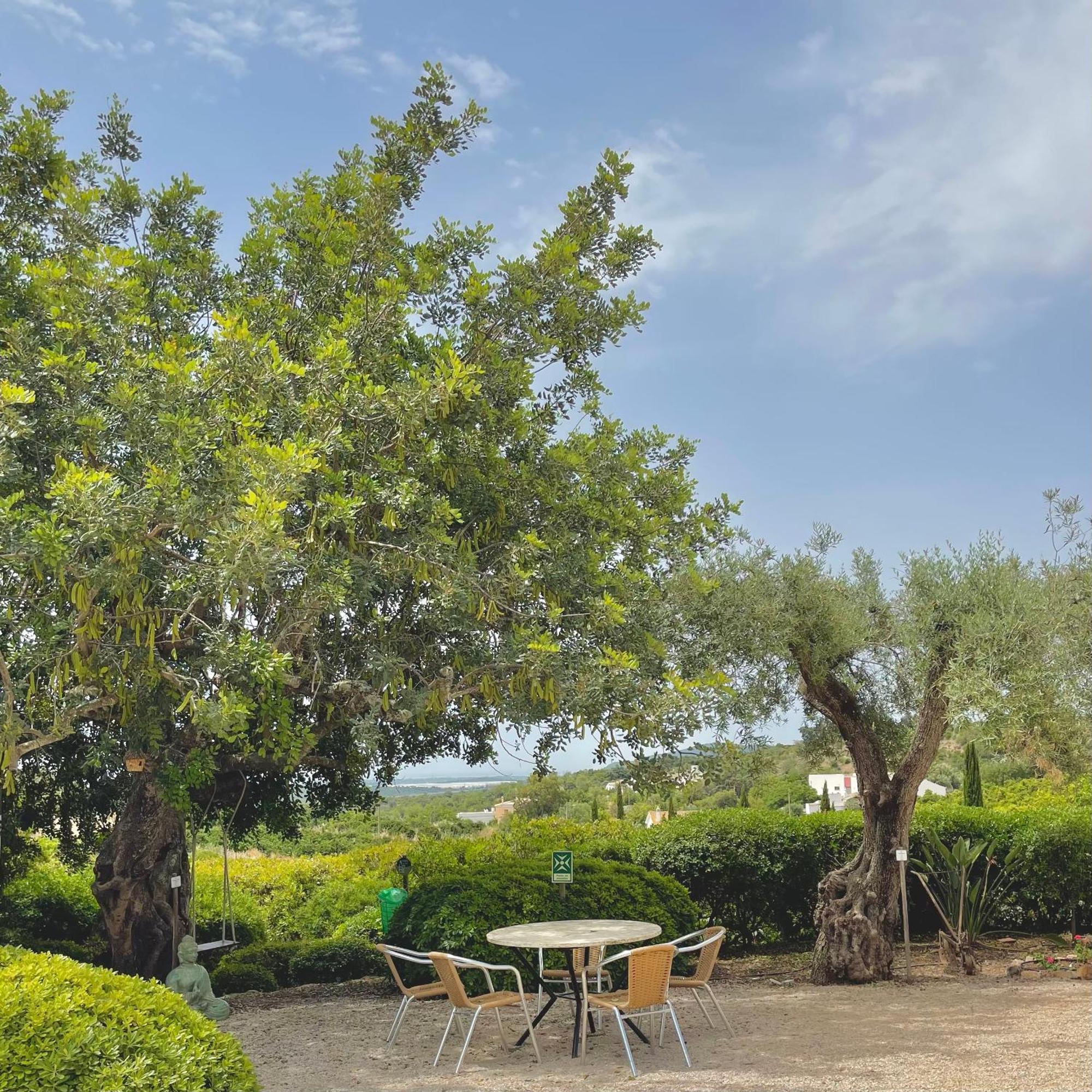 Hotel Rural Quinta Do Marco - Nature & Dining تافيرا المظهر الخارجي الصورة