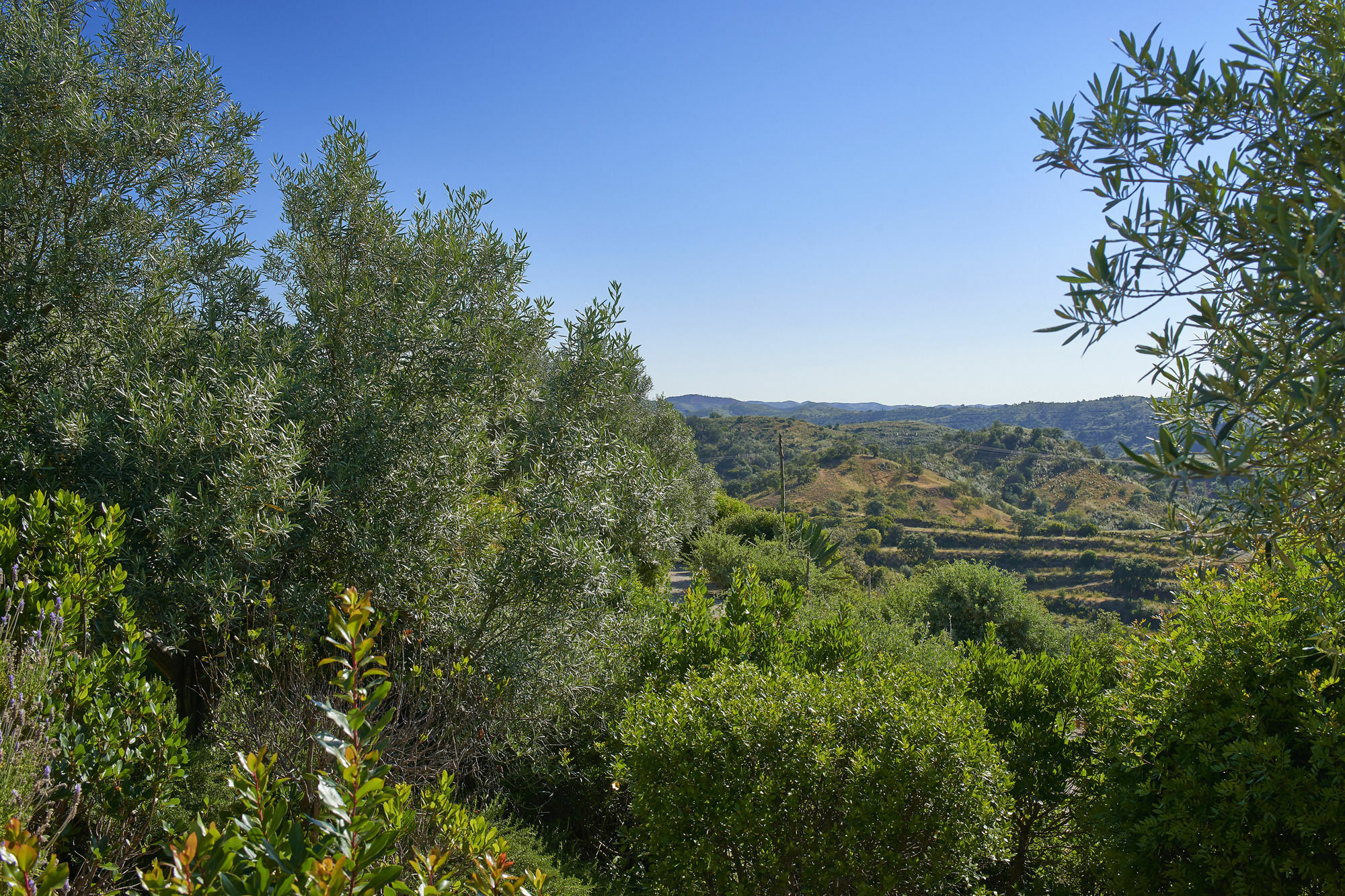 Hotel Rural Quinta Do Marco - Nature & Dining تافيرا المظهر الخارجي الصورة